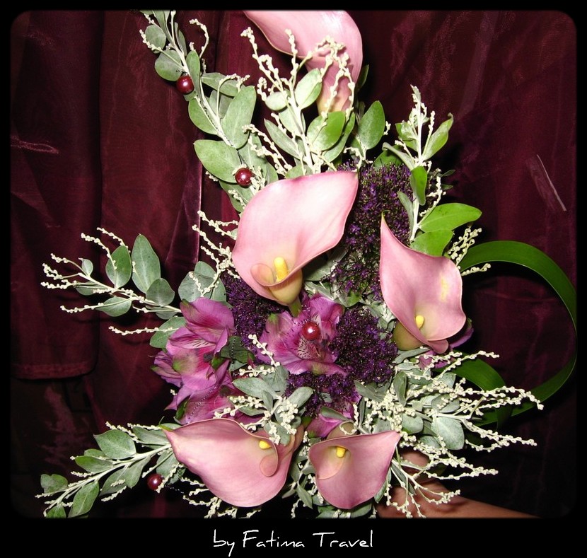 Květina pro hejtmanku Ústeckého kraje - růžové kaly samur, trachélium purple supreme, alstro a mimósa