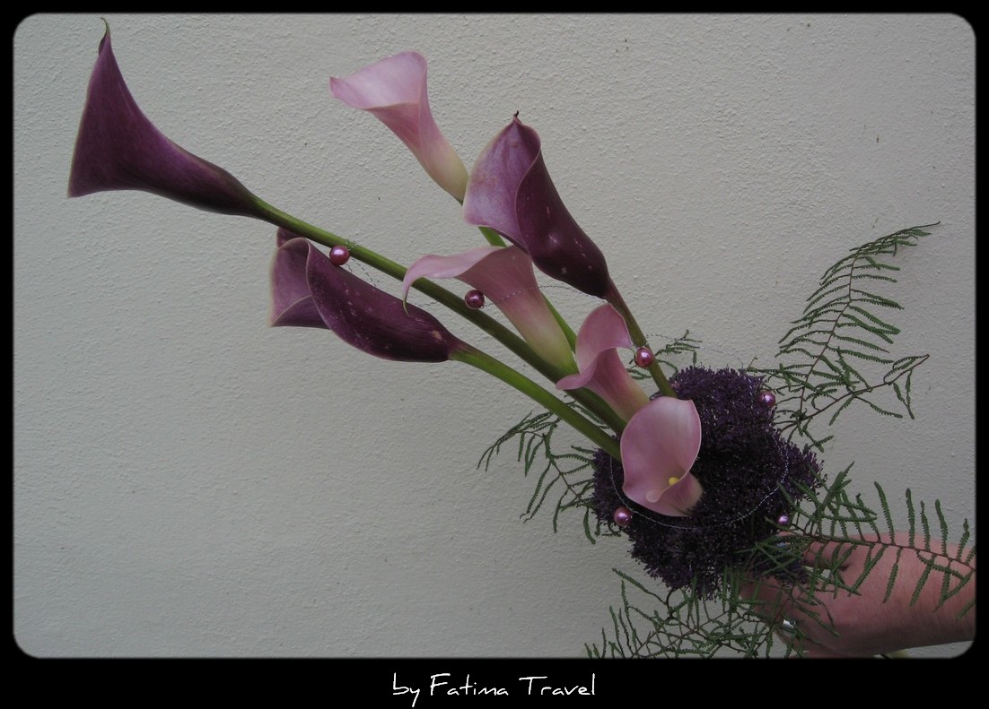 Květina pro paní Livii Klausovou - kaly annekke a samur, trachelium purple supreme, coral fern